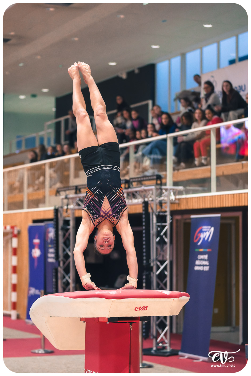 TOP 12 HAGUENAU VS HENIN